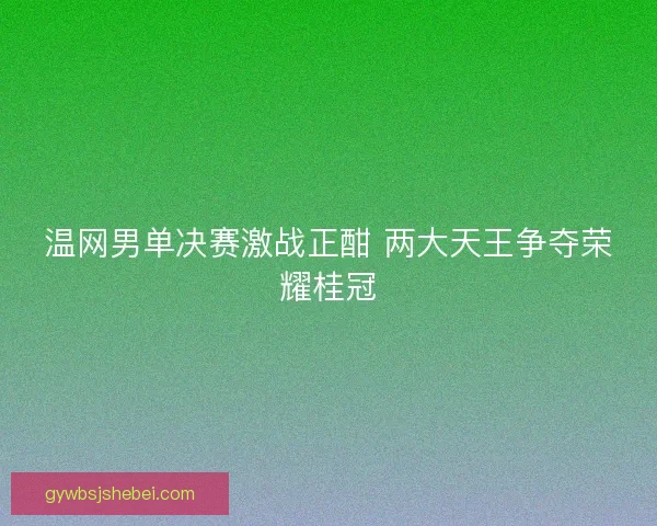 温网男单决赛激战正酣 两大天王争夺荣耀桂冠