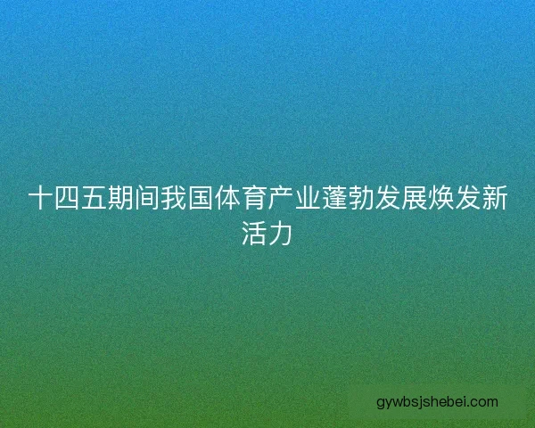 十四五期间我国体育产业蓬勃发展焕发新活力