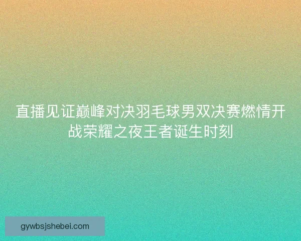 直播见证巅峰对决羽毛球男双决赛燃情开战荣耀之夜王者诞生时刻